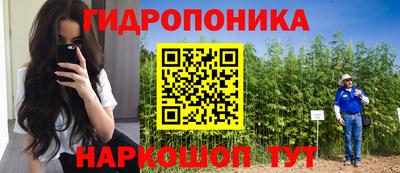 ECSTASY Заводоуковск