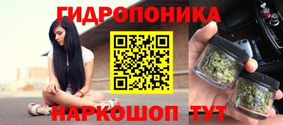 a pvp Жуковский