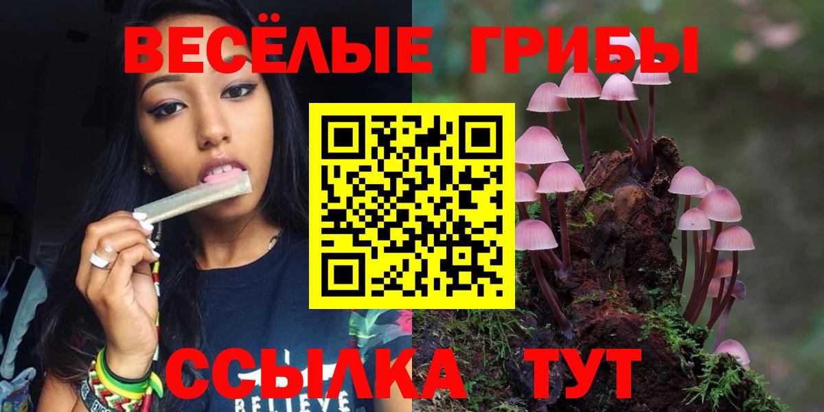 Псилоцибиновые грибы Psilocybine cubensis  Вход с VPN  Лыткарино 